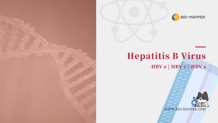Hepatitis B virus