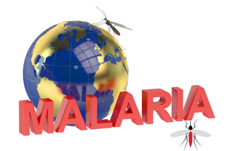 Malaria-World Initiative: Progress, Challenges and Future Directions