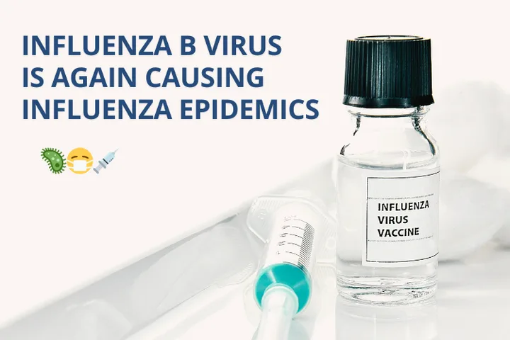 Influenza B virus is again causing influenza epidemics