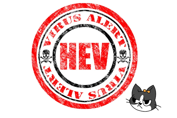 Care for health and stay away from hepatitis E