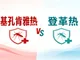 Chikungunya VS Dengue Fever: Solve the Difficult Problem of Differential Diagnosis, BIO-MAPPER's One-Stop Core Raw Material Solution