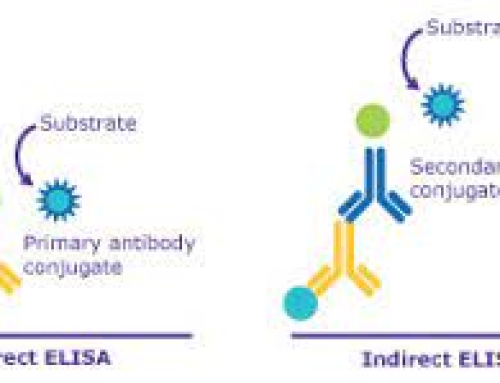 ELISA/CLIA