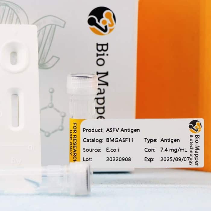African swine fever ASFV - Image 2