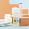 African swine fever ASFV - Image 3