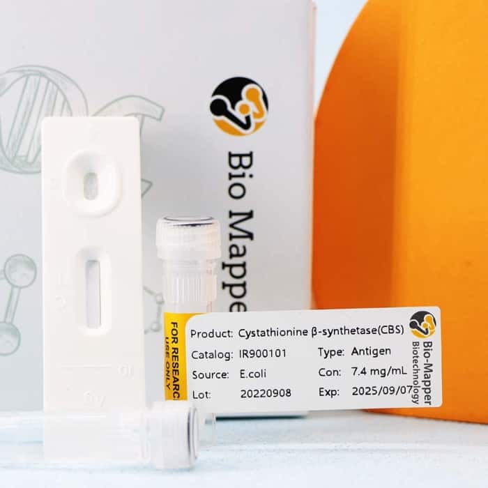 Homocysteine (HCY) - Image 2