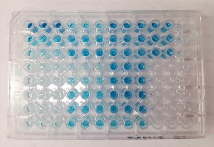 Elisa Bulk for Pet Test