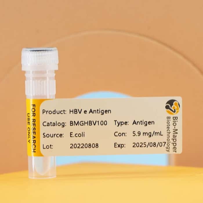 Hepatitis B Virus (HBV)