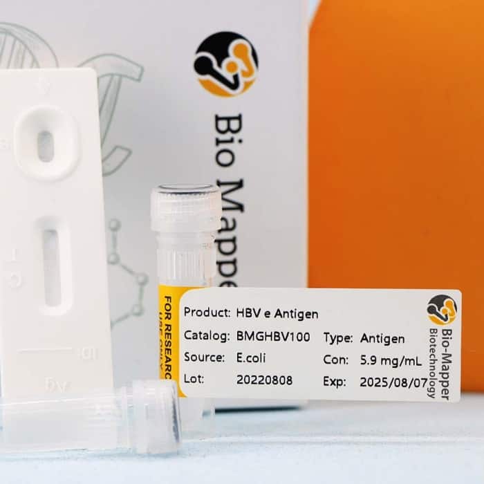 Hepatitis B Virus (HBV) - Image 2