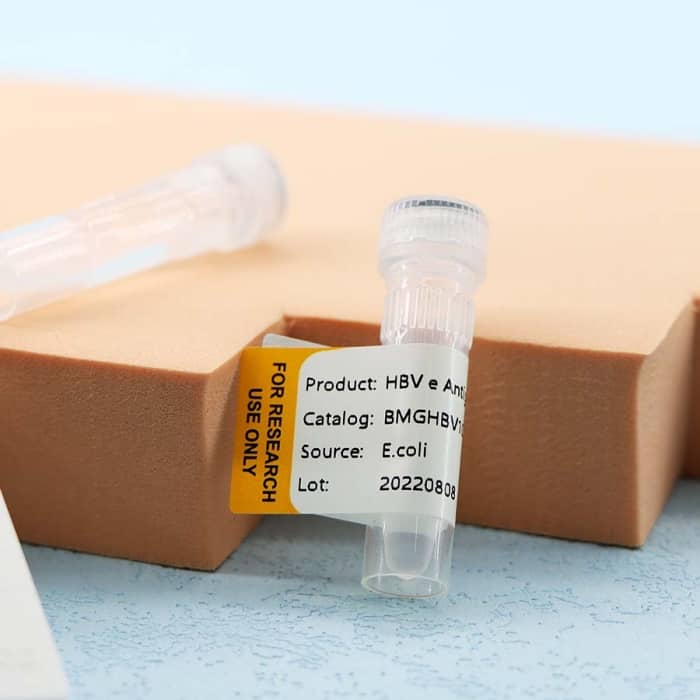 Hepatitis B Virus (HBV) - Image 4