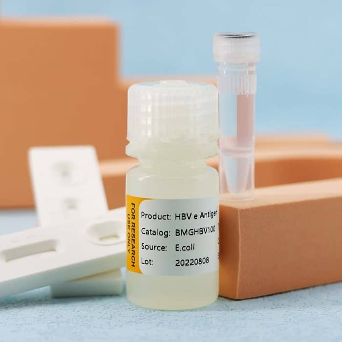 Hepatitis B Virus (HBV) - Image 3