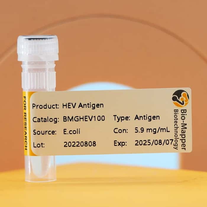 Hepatitis E Virus (HEV)