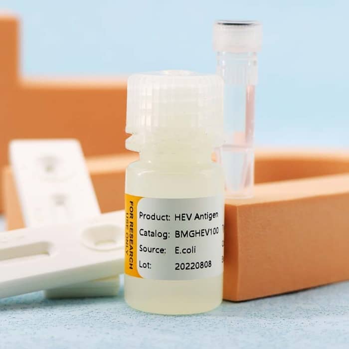 Hepatitis E Virus (HEV) - Image 3