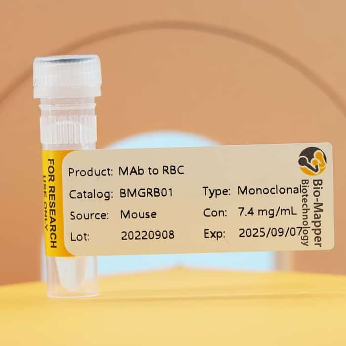 RBC Antibody