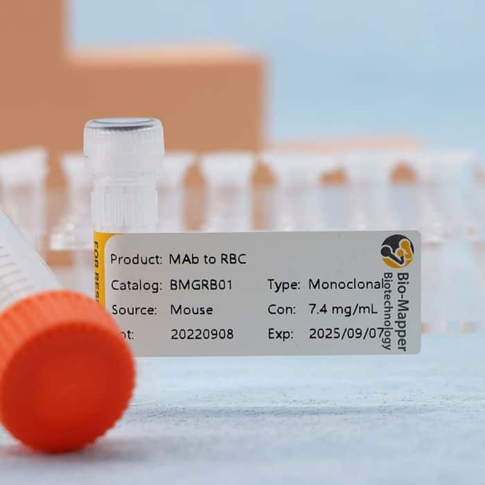 RBC Antibody - Image 3