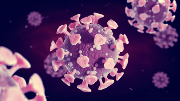 Feline Calici Virus (FCV)
