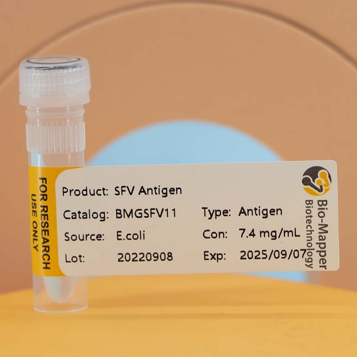 Swine Fever (CSFV)