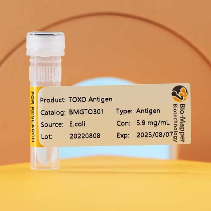 Toxoplasma Gondii (TOXO)