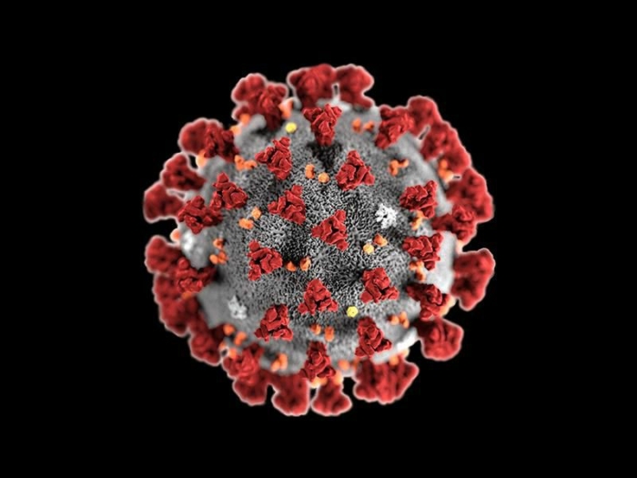 Corona Virus Disease 2019 (Covid-19)