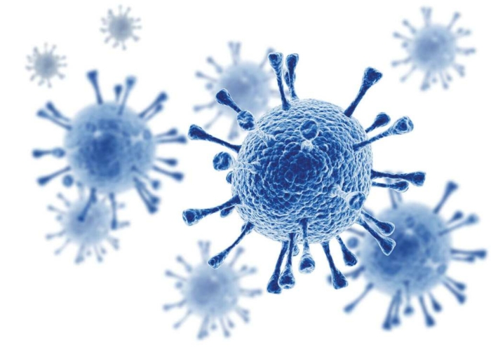 Canine influenza virus (InFluA)