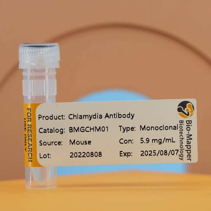 Chlamydia Trachomatis