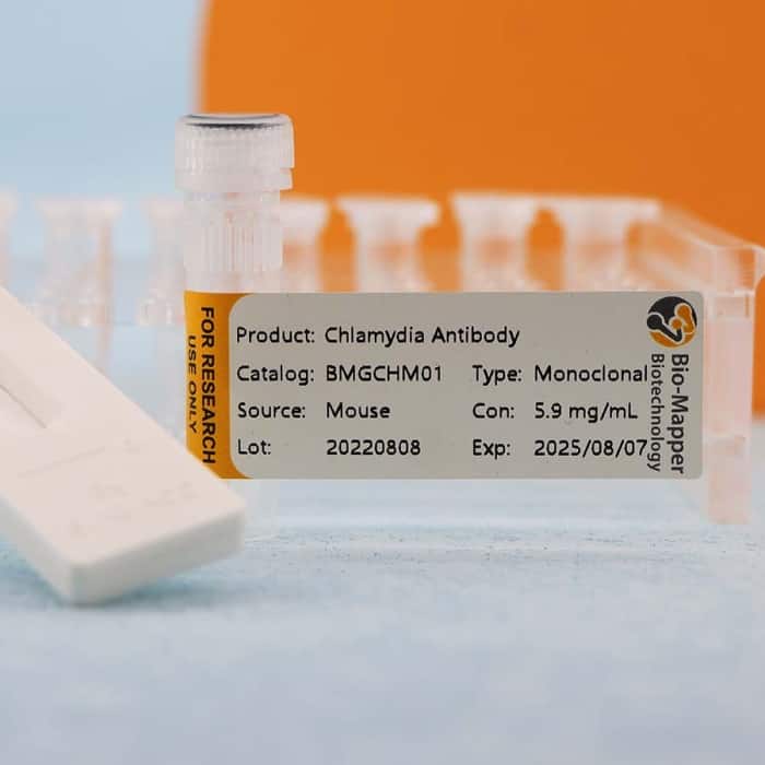 Chlamydia Trachomatis - Image 4