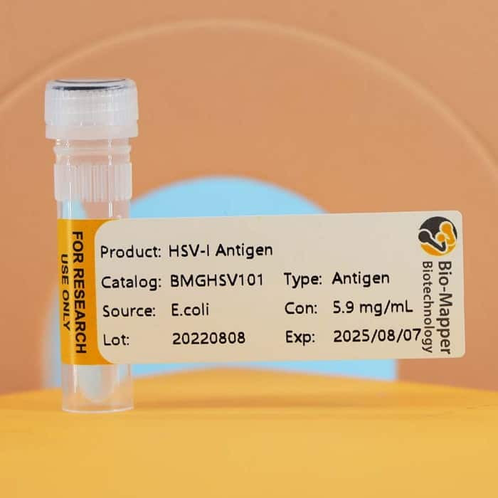 Herpes Simplex Virus-I&II (HSV-I&II)