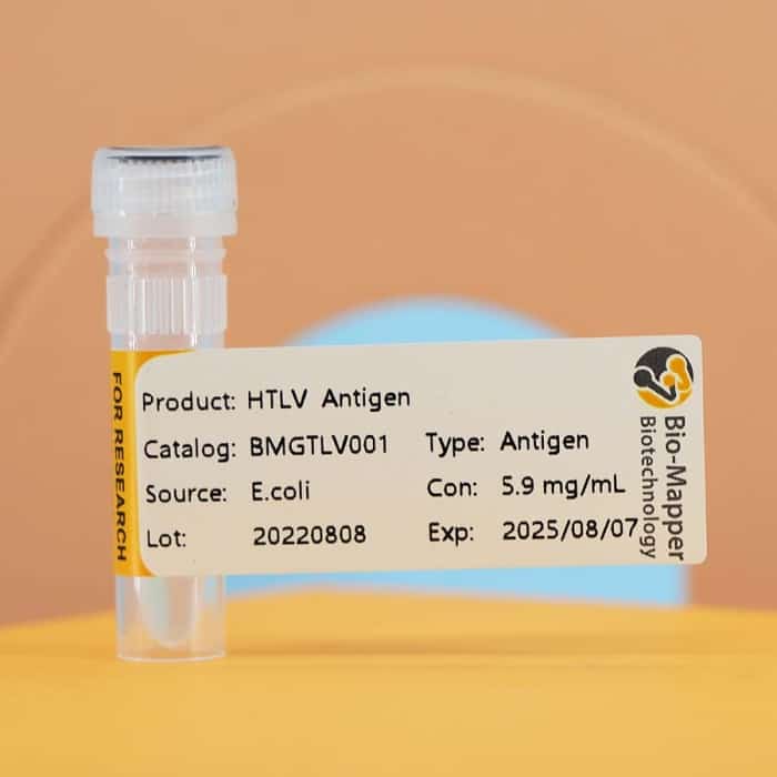 Human T-Cell Lymphotropic Virus (HTLV)