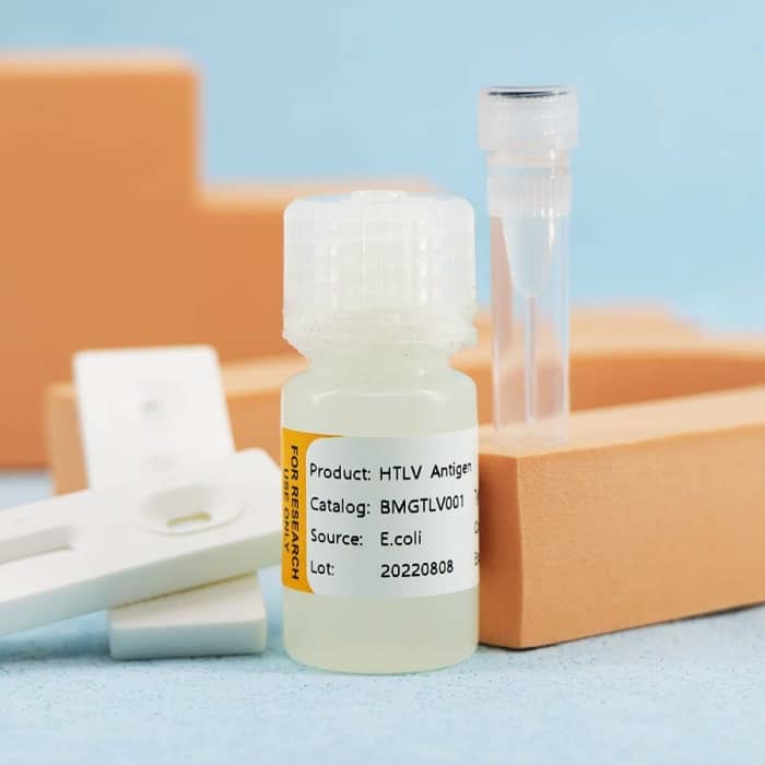 Human T-Cell Lymphotropic Virus (HTLV) - Image 3