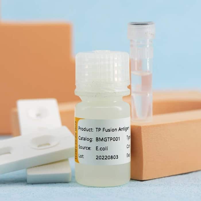 Treponema Pallidum (SYPHILIS) - Image 3