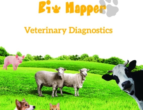 Veterinary Diagnostics Rapid Test