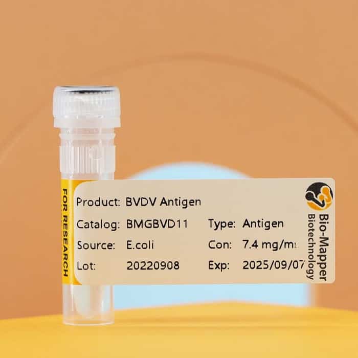 Bovine Viral Diarrhea Virus (BVDV)