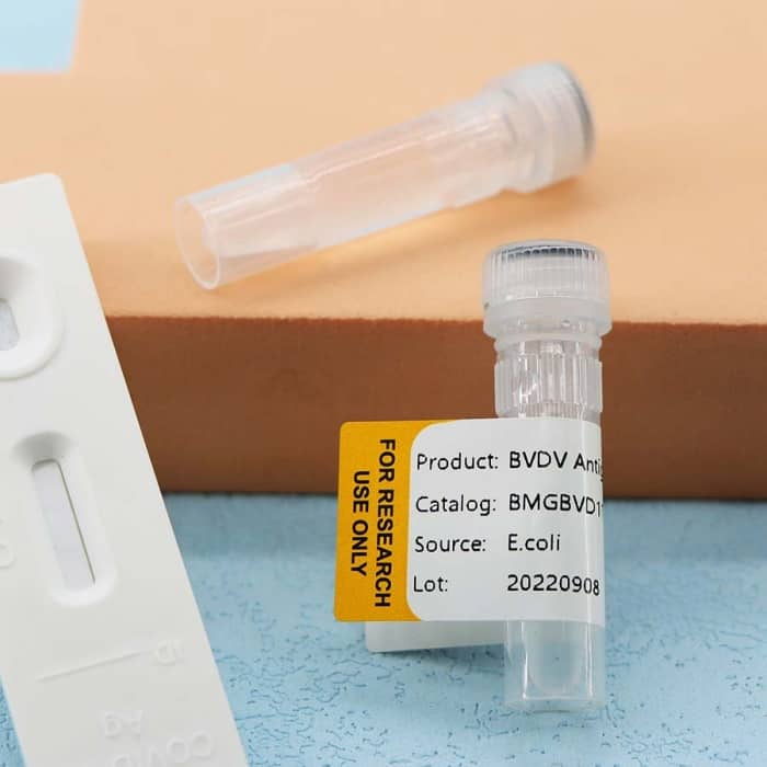 Bovine Viral Diarrhea Virus (BVDV) - Image 4