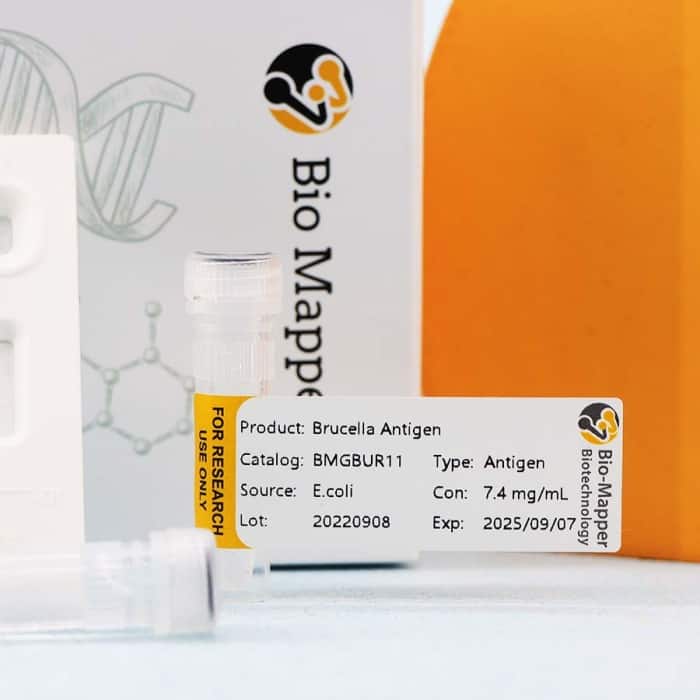Brucella - Image 2