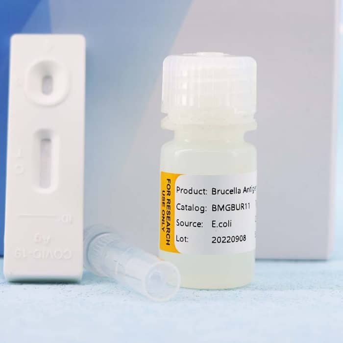Brucella - Image 4