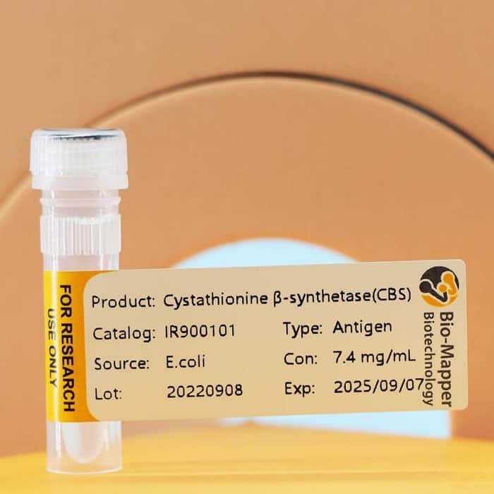 Homocysteine