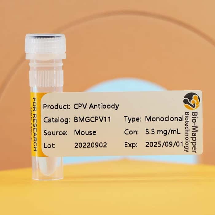 Canine Parvovirus(CPV)