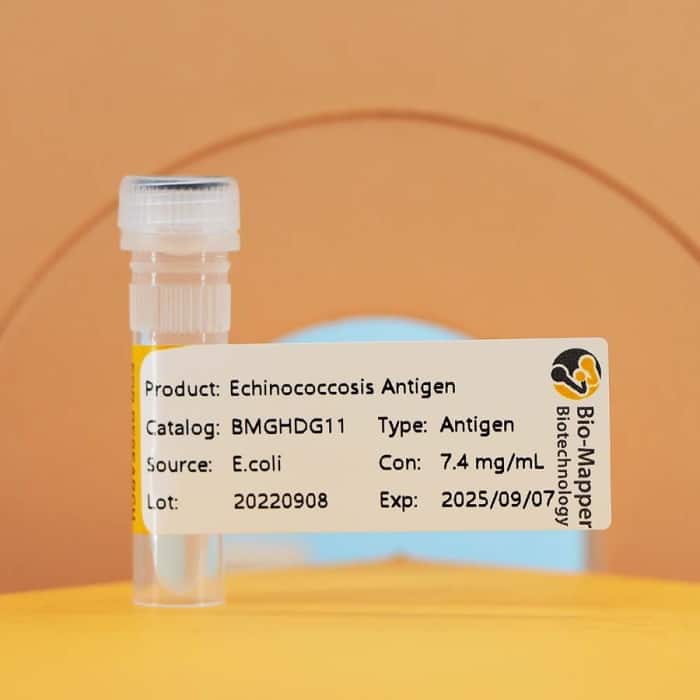 Echinococcosis