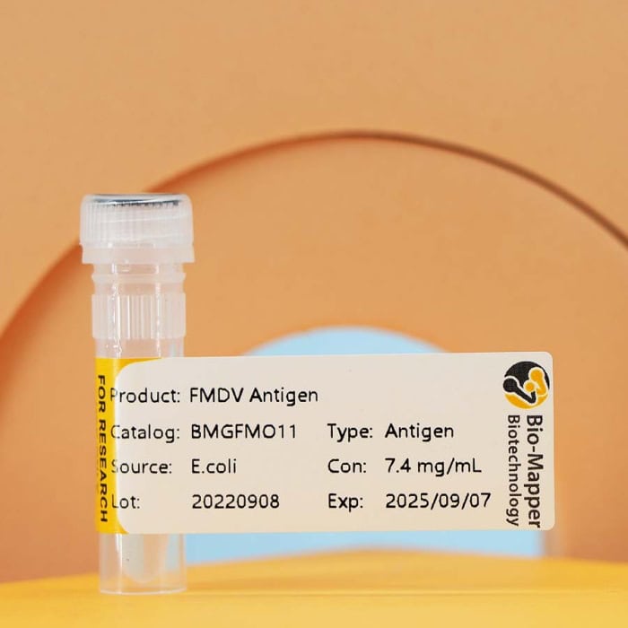 Foot and Mouth Disease (FMDV)