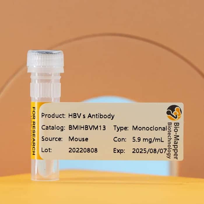 Hepatitis B Virus (HBV)