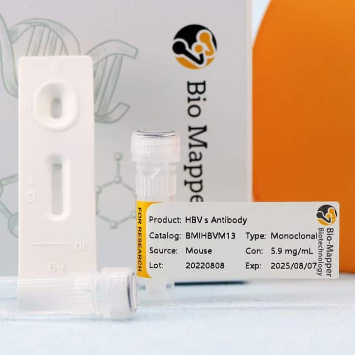 Hepatitis B Virus (HBV) - Image 2