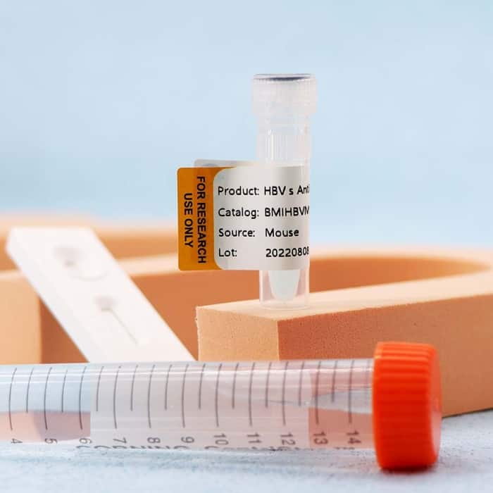 Hepatitis B Virus (HBV) - Image 4