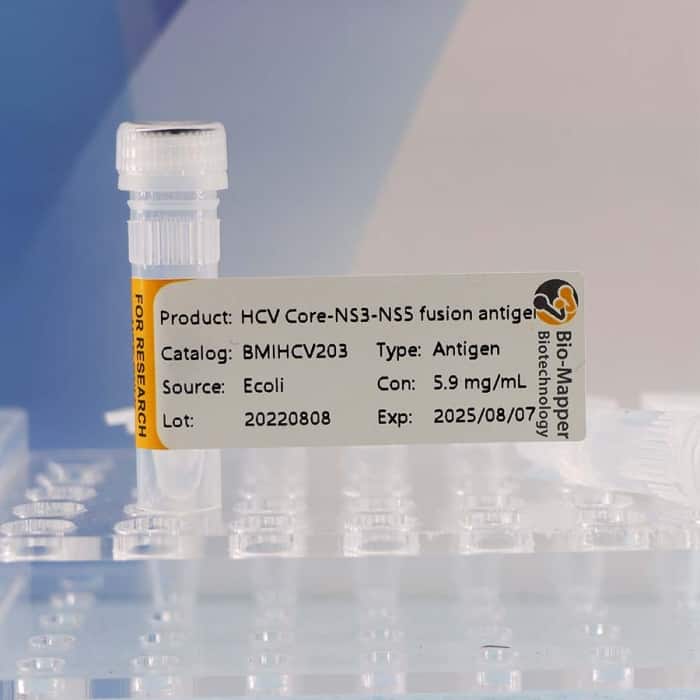 Hepatitis C Virus (HCV) - Image 4