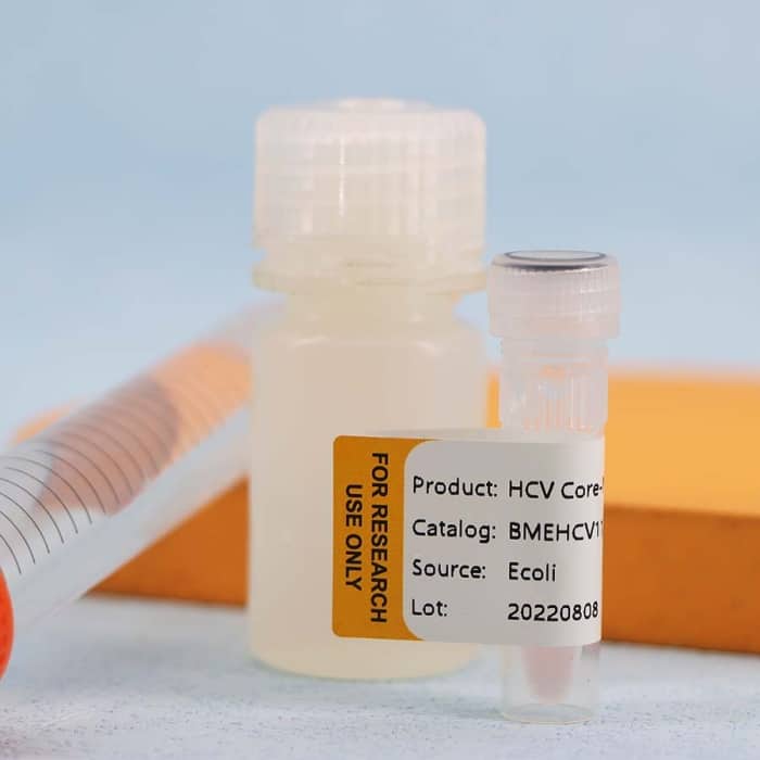 Hepatitis C Virus (HCV) - Image 4
