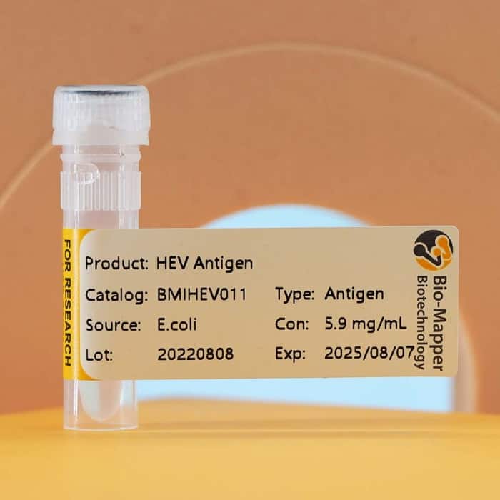 Hepatitis E Virus (HEV)