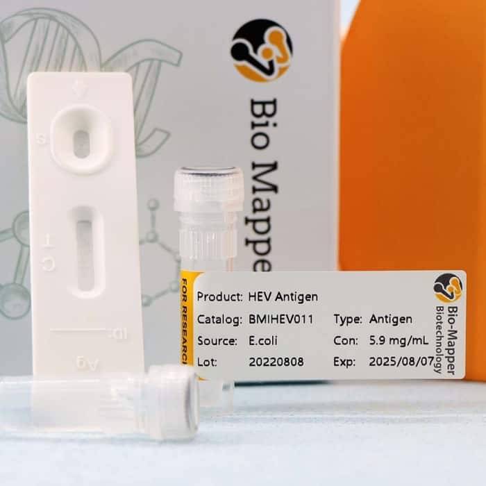 Hepatitis E Virus (HEV) - Image 2