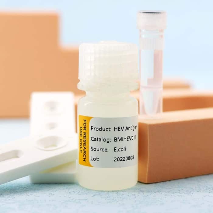 Hepatitis E Virus (HEV) - Image 3