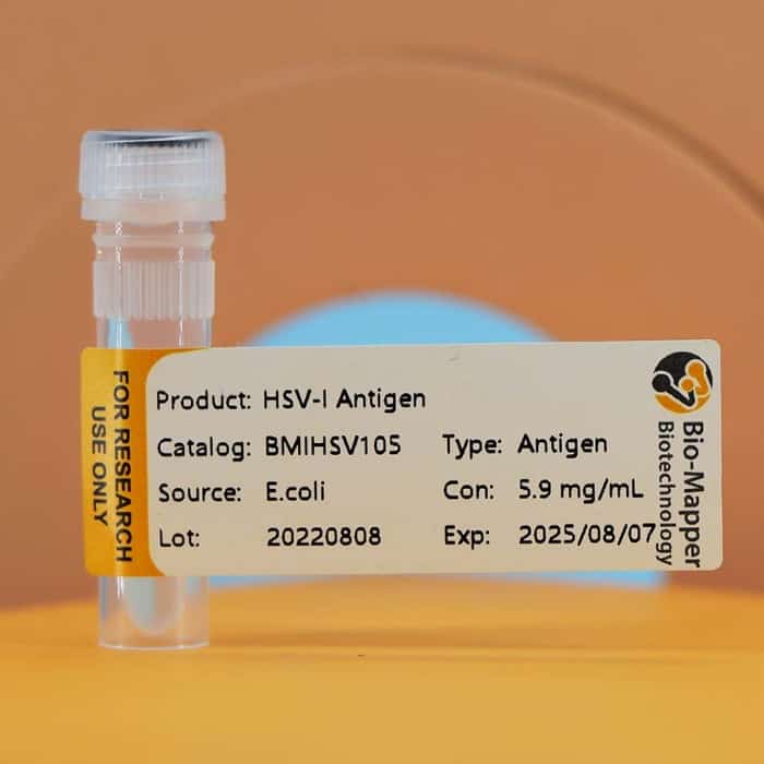 Herpes Simplex Virus-I/II (HSV-I/II)