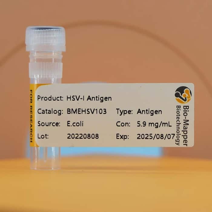 Herpes Simplex Virus-I/II (HSV-I/II)