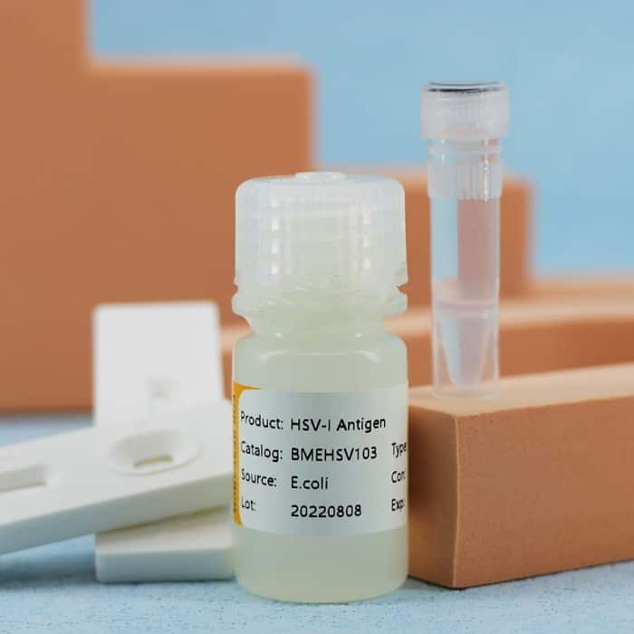 Herpes Simplex Virus-I/II (HSV-I/II) - Image 3