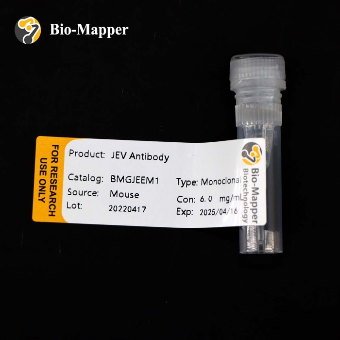 Japanese Encephalitis - Image 5